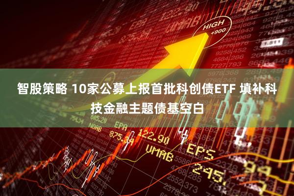 智股策略 10家公募上报首批科创债ETF 填补科技金融主题债基空白
