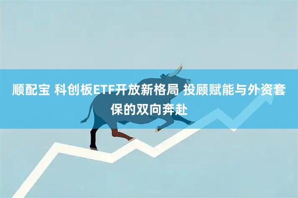 顺配宝 科创板ETF开放新格局 投顾赋能与外资套保的双向奔赴