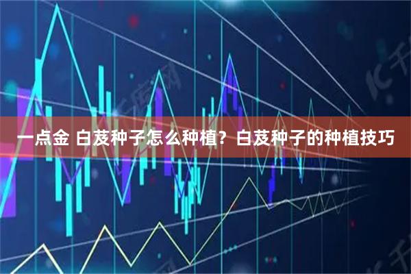 一点金 白芨种子怎么种植？白芨种子的种植技巧