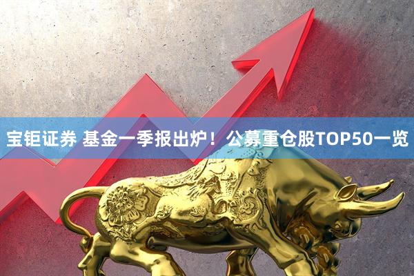 宝钜证券 基金一季报出炉！公募重仓股TOP50一览