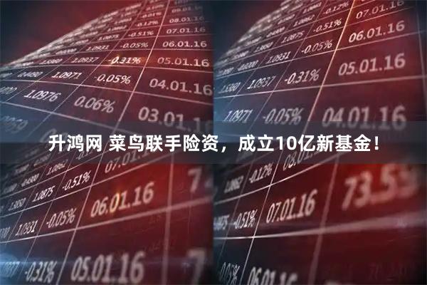 升鸿网 菜鸟联手险资，成立10亿新基金！