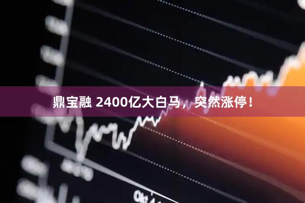 鼎宝融 2400亿大白马，突然涨停！