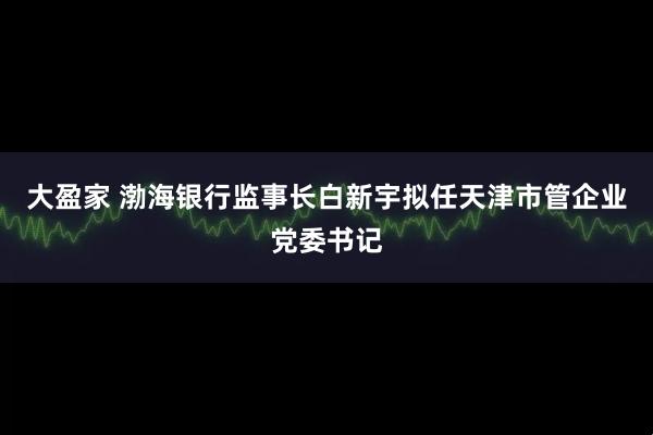 大盈家 渤海银行监事长白新宇拟任天津市管企业党委书记